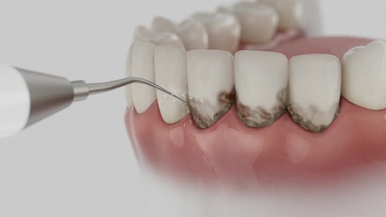 Reliable Dental contractor in Sudley, VA by Dentist Open Now